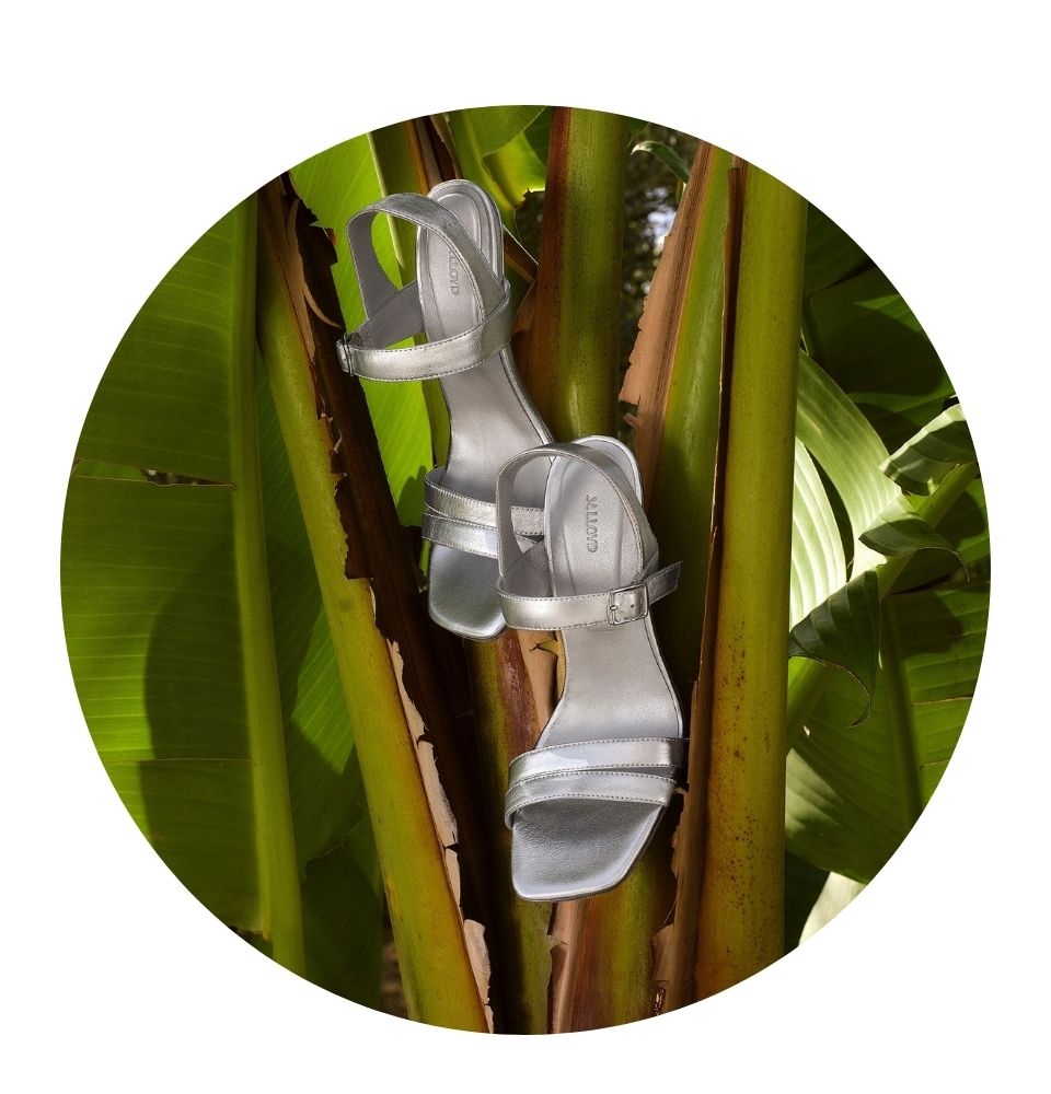 Lloyd Price Net Worth: Music Hits, Real Estate, and $2 Million Fortune